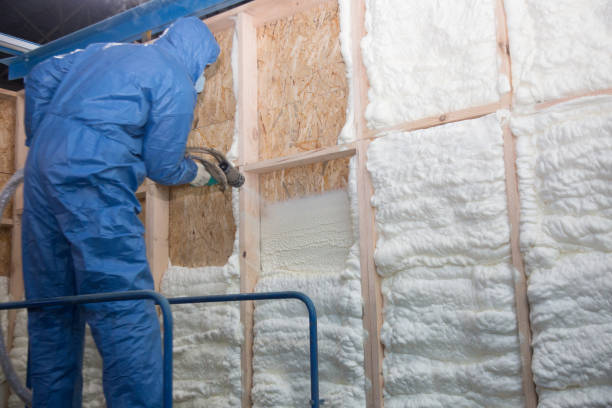 Best Attic Insulation Installation  in Prairieville, LA